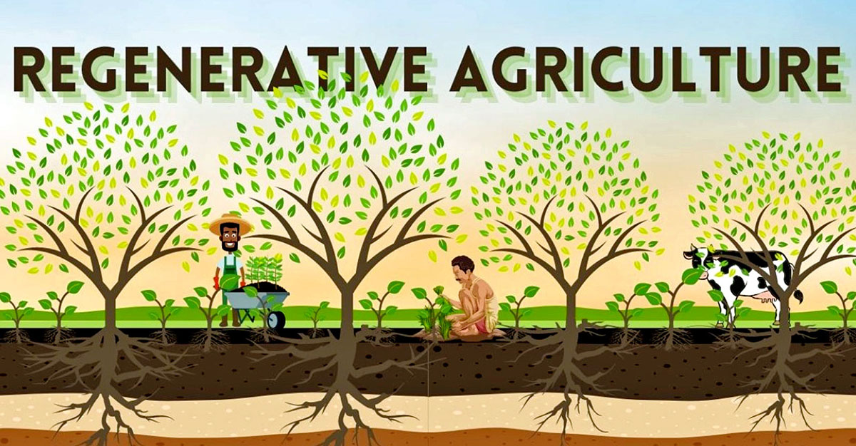 Regenerative Agriculture