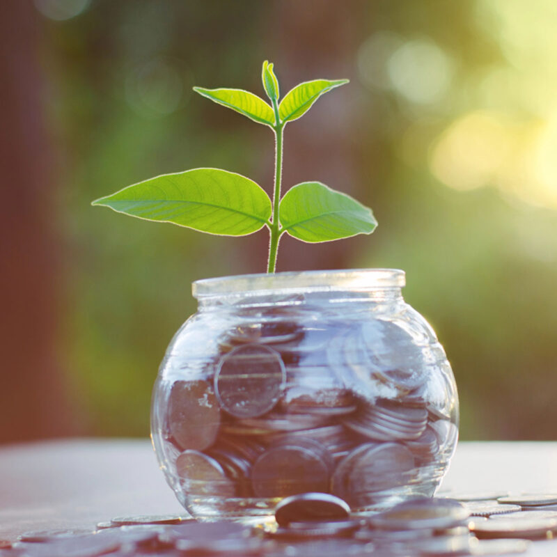 Bryan Blossom Foundation: Giving